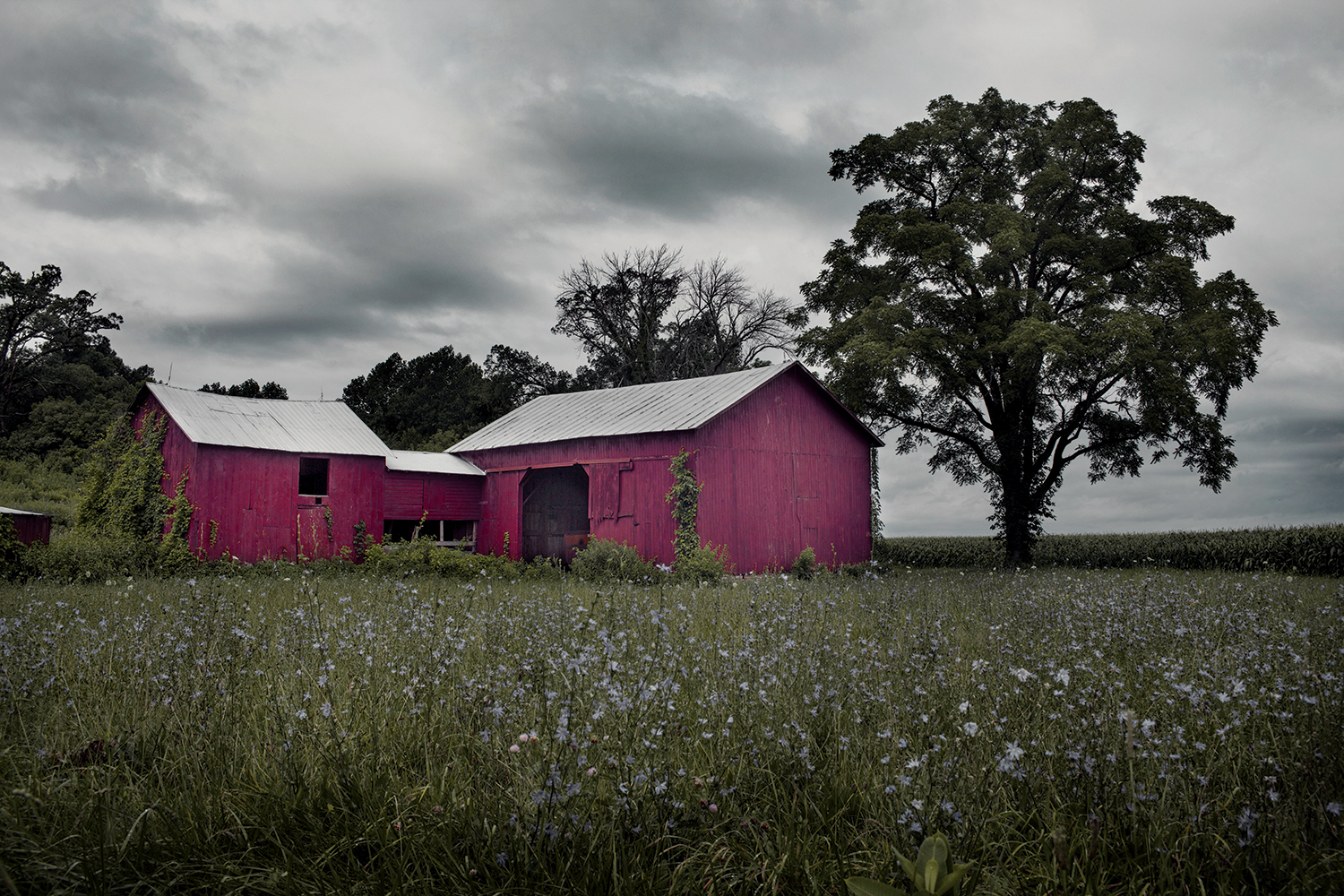 Florian Ritter: The Minnesota Retreat, From the series: Barn America, 2013 / 35 x 52 cm Digital pigment print